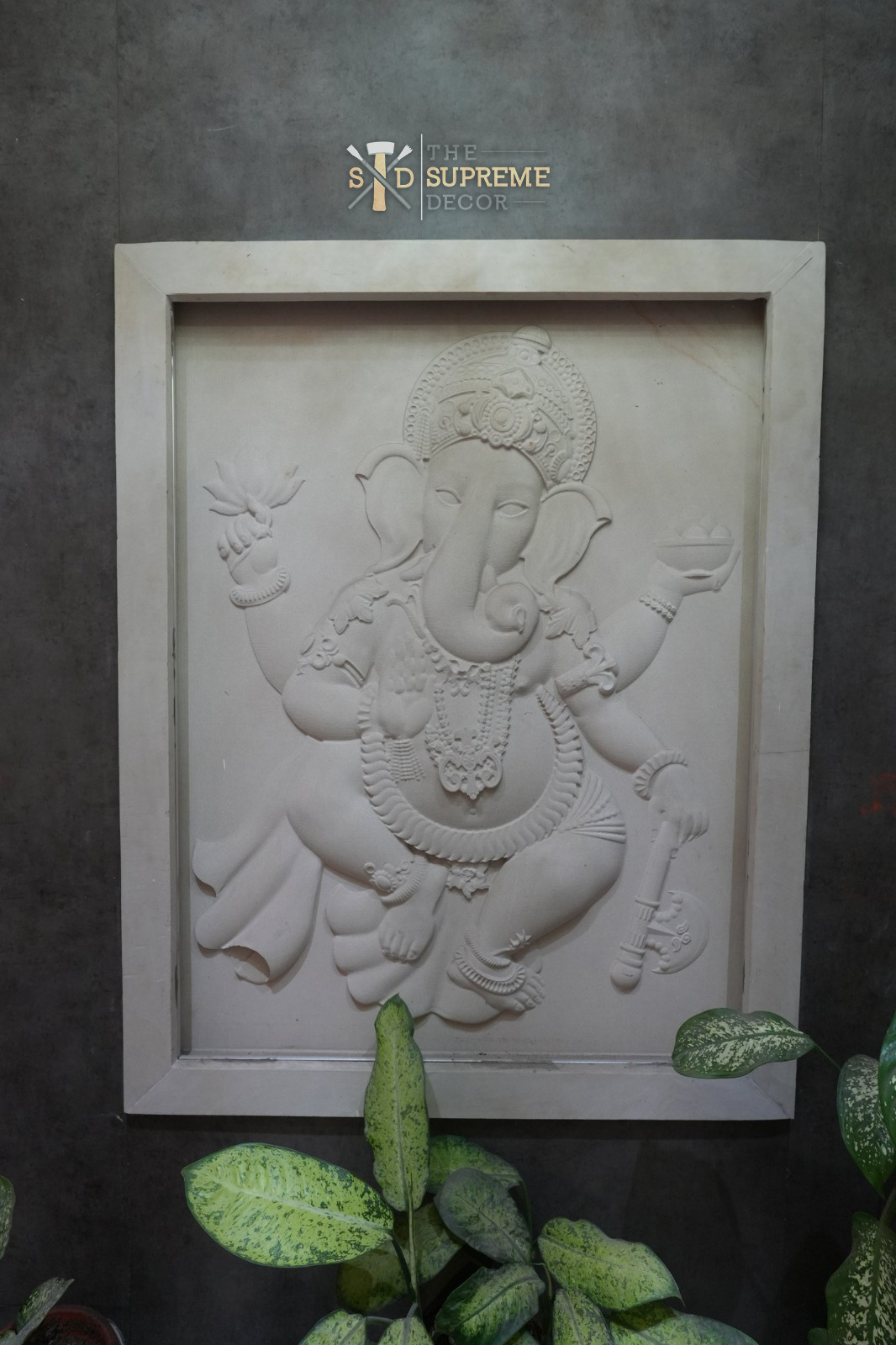 WhatsApp Image 2026-03-21 at 3.13.41 PM (1)